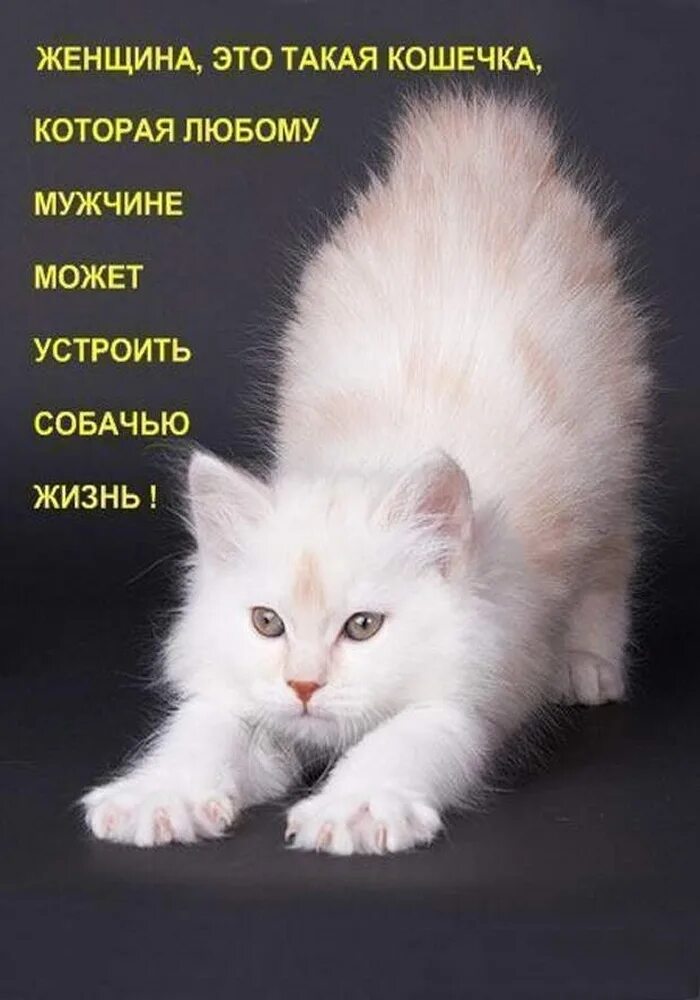 Какими судьбами