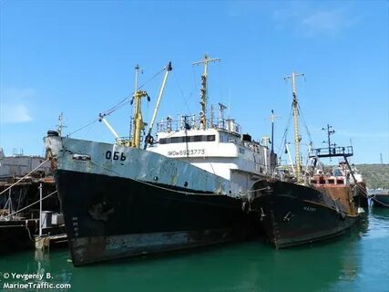 Морская компания адрес
