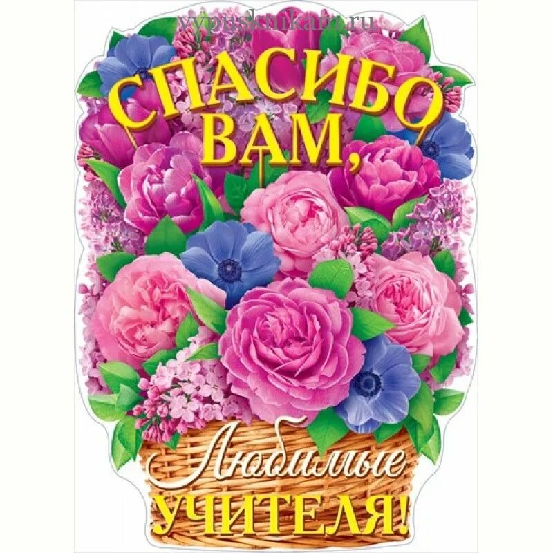 спасибо любимые учителя. спасибо вам дорогие наши учителя. нашим любимым учителям посвящается. спасибо любимые учителя. с днем учителя спасибо вам.
