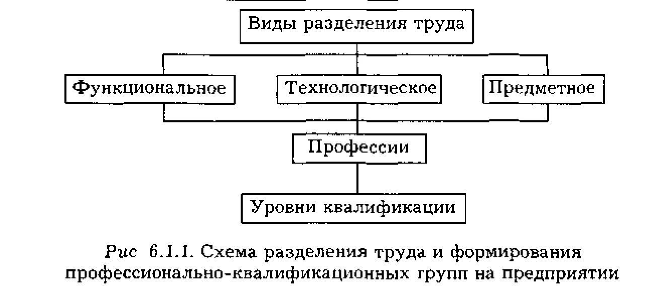 Какова разделения труда в развитии производства. Технологическая схема разделения труда. Общественное Разделение труда схема. Разделение труда в организации схема. Форм разделения труда в системе управления.