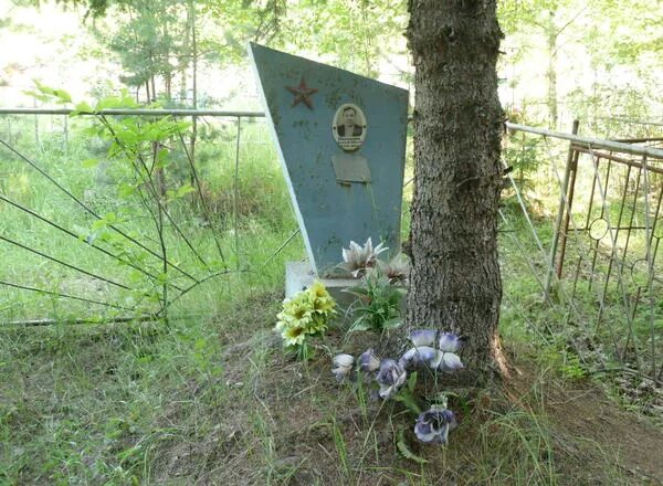 Погода в горбачево плавского. Точка роста Горбачево Плавский район. Гладышевы Горбачево.