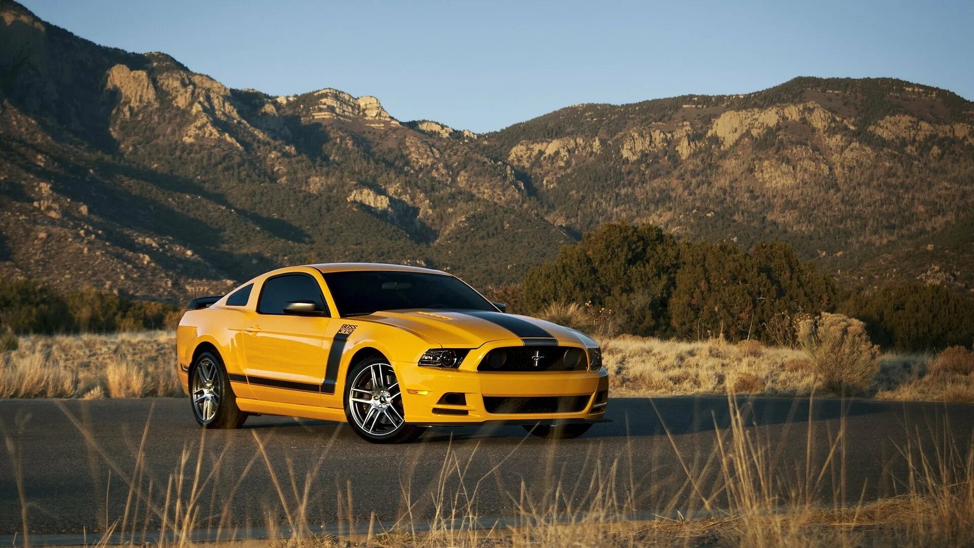 Форд Мустанг 2013 желтый. Ford Mustang Boss 302. Ford Mustang Boss. Ford Mustang 2013. Машины без авторских прав