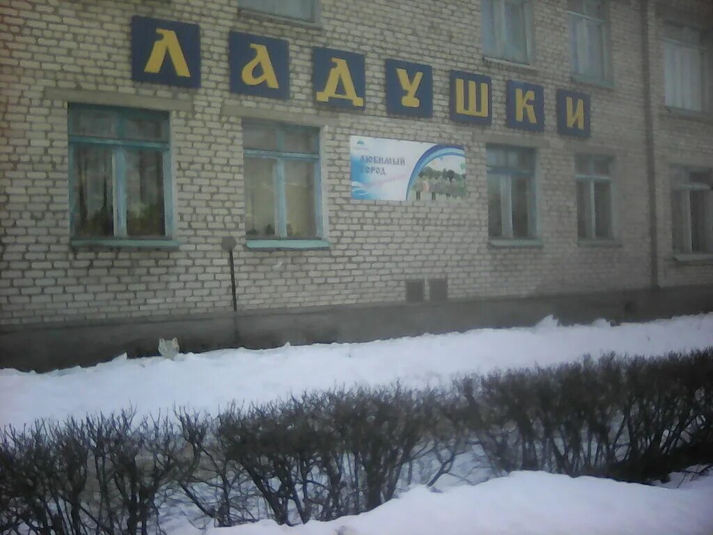 Старое руссо. Фокс фото старая русса. Старая русса парк. Парк победы старая русса детская площадка. Город старая русса новгородская область.