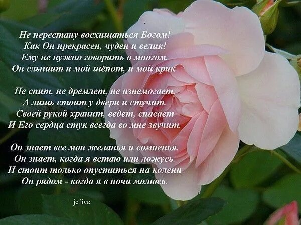 Христианские стихи для детей. Псалмы в картинках. Мои христианские стихи. Христианские стишки для детей. Стихи из библии в картинках.