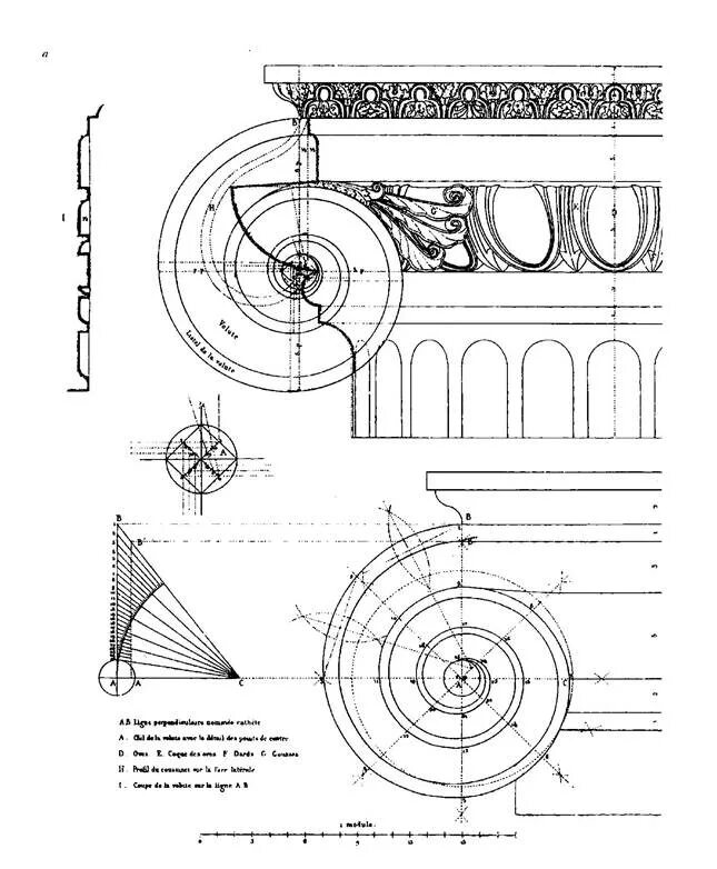 Валюта ордера. Капитель Ионического ордера. Построение волюты Ионического ордера. Капитель Ионического ордера построение. Построение волюты ионической капители.