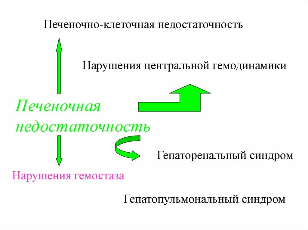 Печеночно клеточная недостаточность печени. Синдром печеночно-клеточной недостаточности этиология. Печеночнокоеточная недостаточность. Печеночно-клеточная недостаточность патогенез. Причины печеночно клеточной недостаточности.