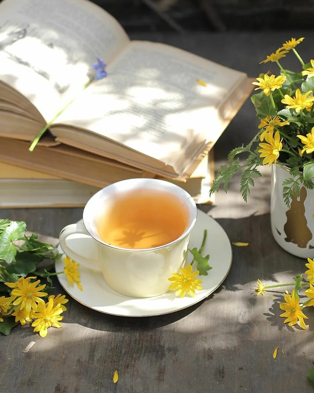 Весенний чай картинки. Чай цветок. Летний чай. Доброе солнечное утро. Утро чай.