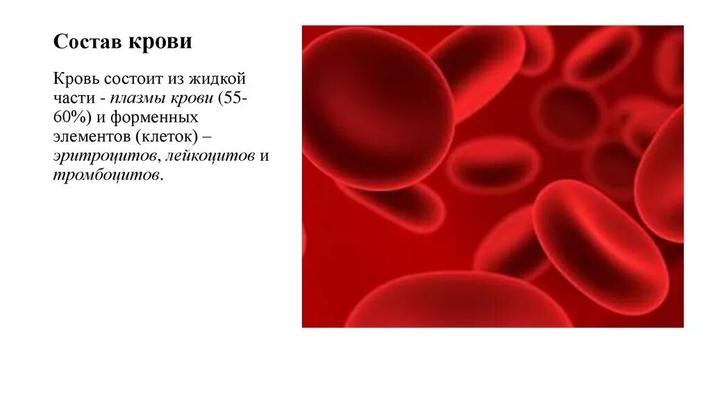 Кровь краткое содержание. Состав крови. Кровь состоит. Кровь человека биология. Кровь человека состоит из.