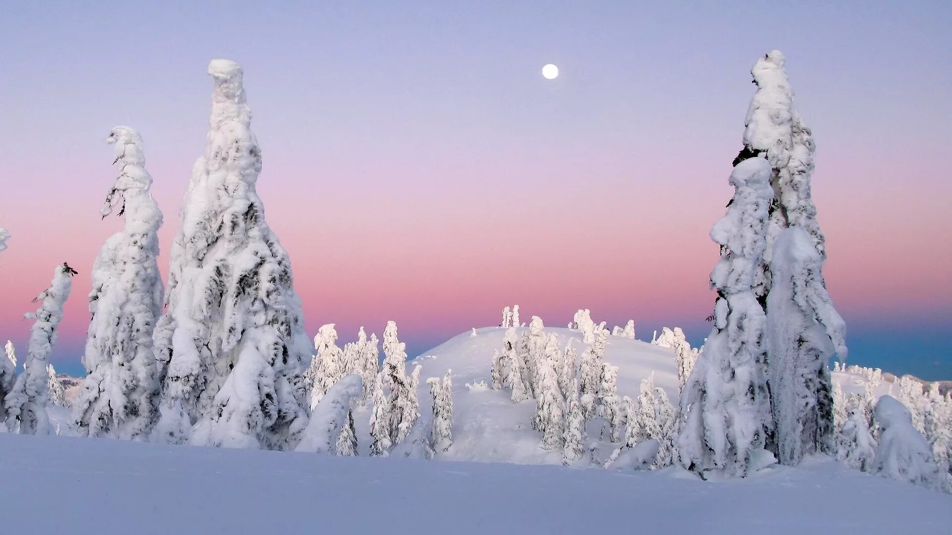 Пейзажи Якутии. Зима в Якутии. Природа Якутии зимой. Якутский пейзаж. Якутский снег