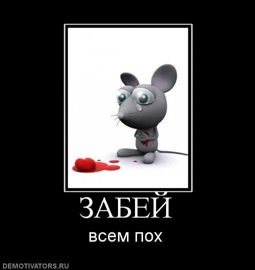 Я забил на все и всех
