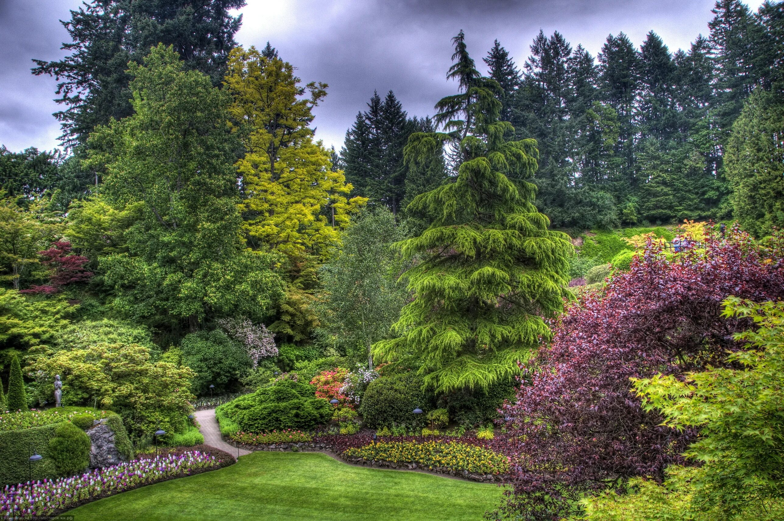 Butchart Gardens Канада. Сады Бутчартов, Канада, Виктория. Сады Бучарт, Виктория, Канада. Ландшафт в дендропарке.