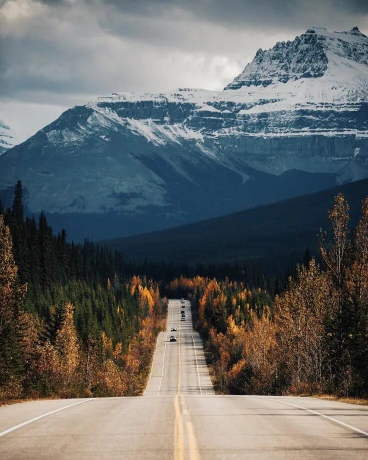 During the fall. Красивые дороги. На доске по дороге. Long way. Beautiful way.