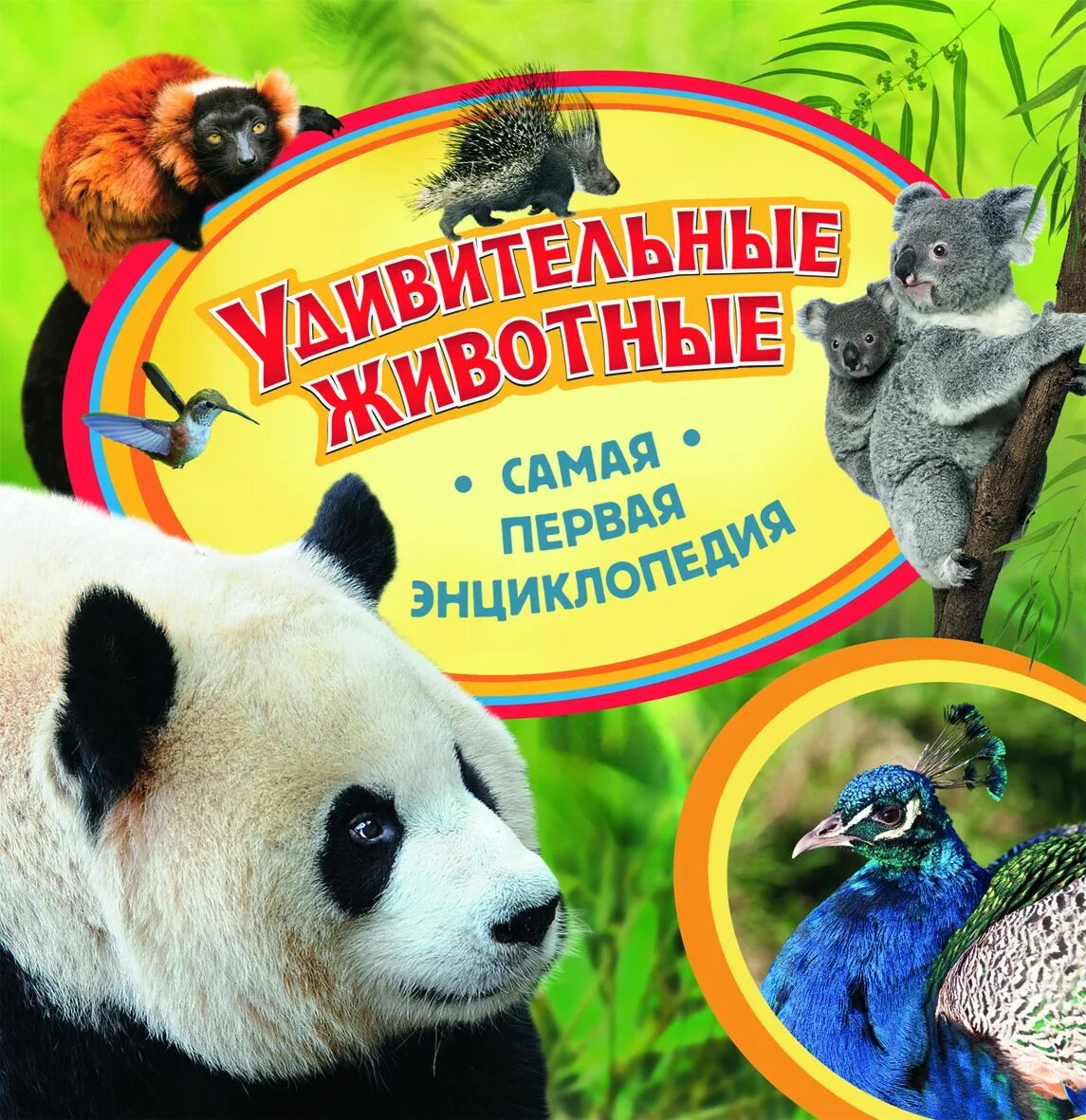 Мир удивительных книг