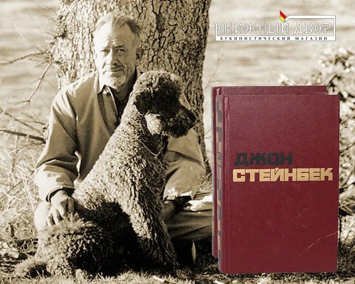 Читать книги джона стейнбека. Джон Эрнст Стейнбек. Стейнбек и его пудель Чарли. Джон Стейнберг писатель. Стейнбек фото писателя.