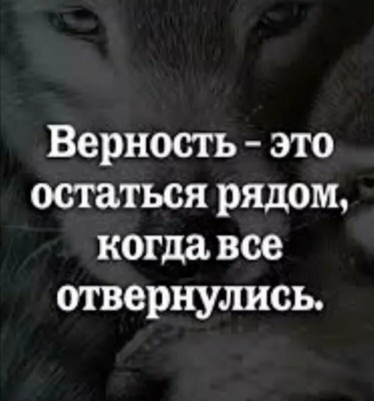 Верность сегодня. Цитаты про верность. Афоризмы про верность. Верность фразы. Высказывания о преданности.