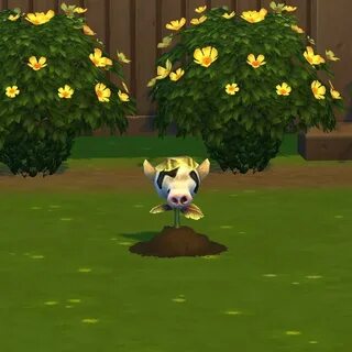 Plant sim