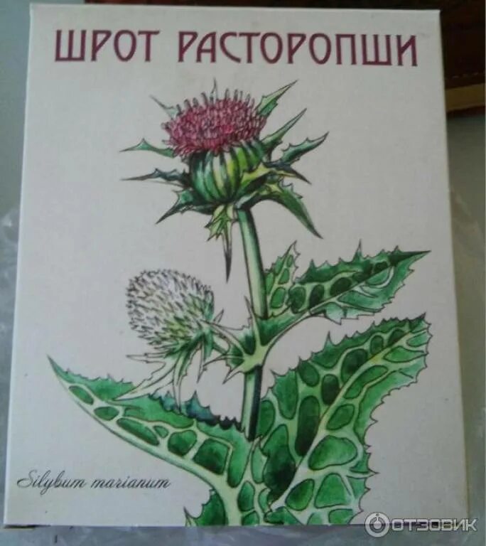 Расторопша солнат. Шрот расторопши пятнистой солнат био. татарник, чертополох или расторопша. расторопша пятнистая фармакогнозия. расторопша целительные силы.