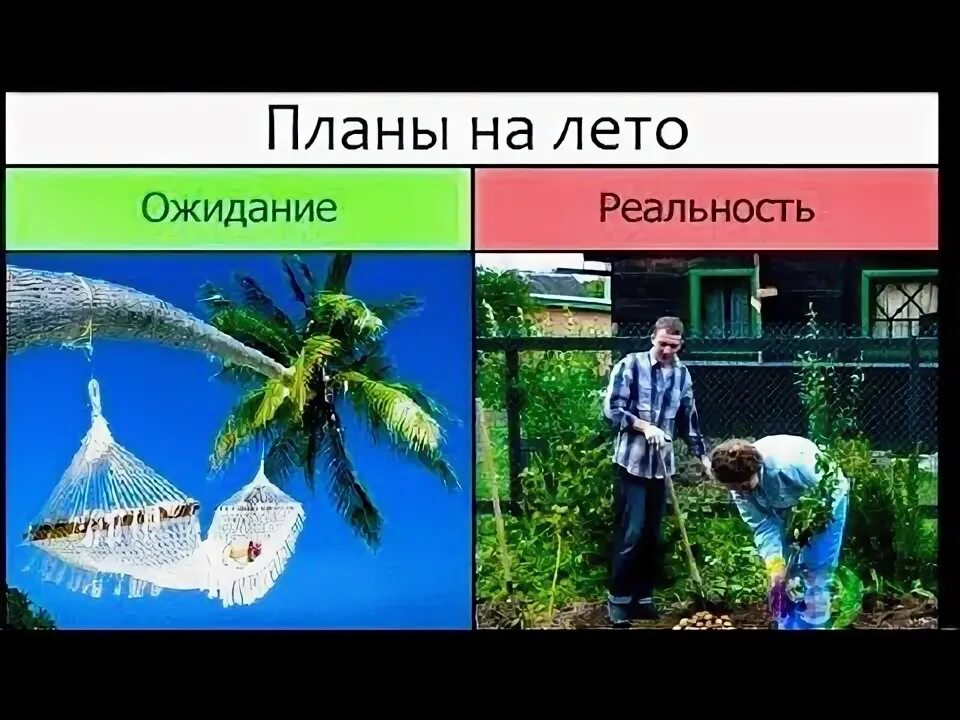 Прогноз на август. Лето прекрасно. Каким ожидать лето. Каким ожидать лето. Лето в москве.
