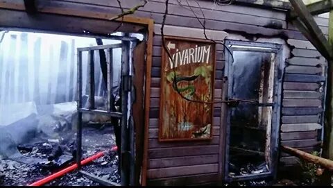 Пожар в зоопарке