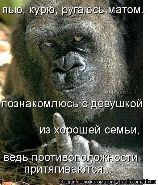 не матерись картинки. день борьбы с ненормативной лексикой. брат ругается матом. жизнь без мата. брат ругается матом.