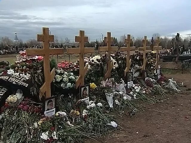 Дело в кущевке. Дело в кущевке. Дело в кущевке. Дело в кущевке. Кущёвская станица цапки.