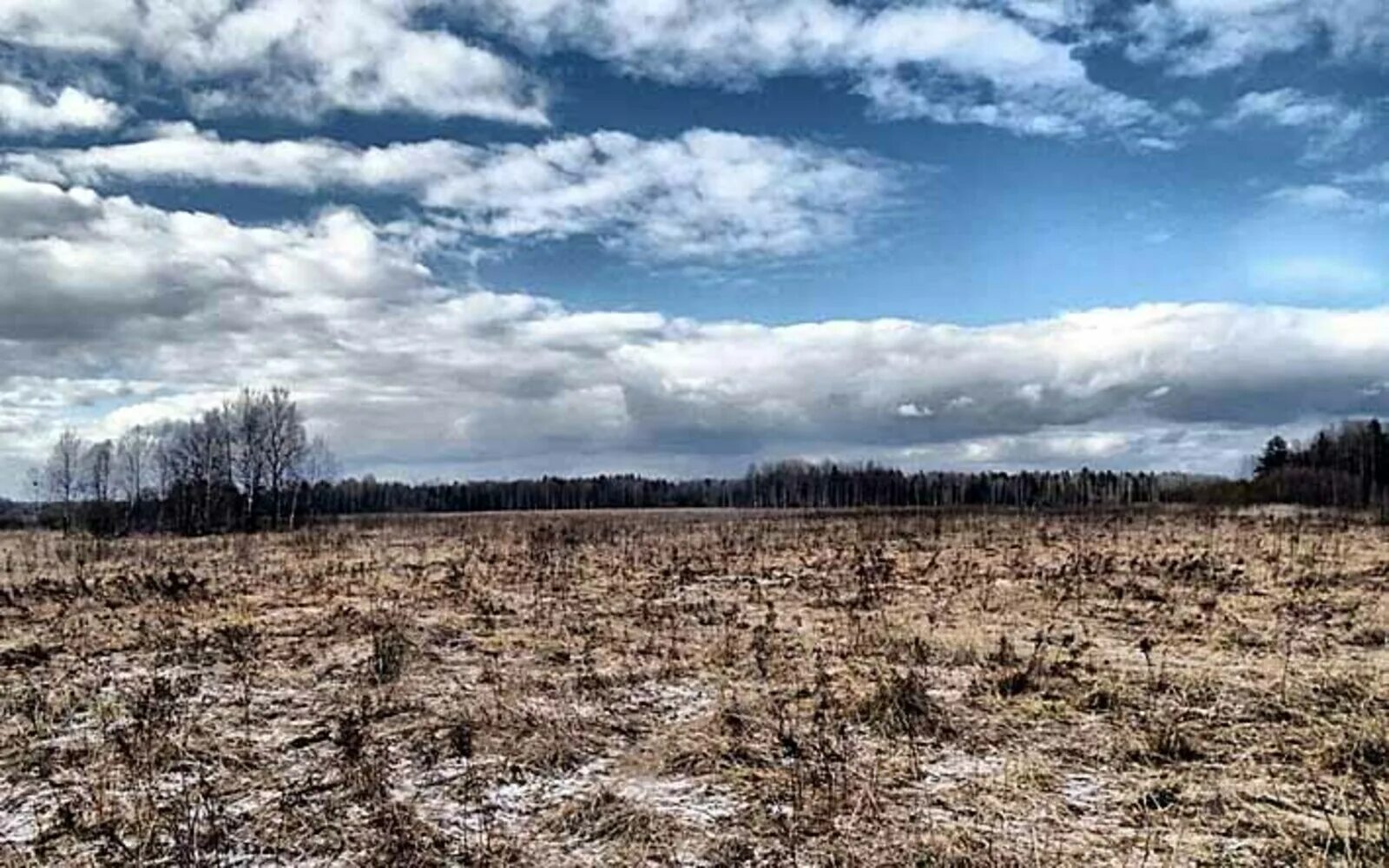 Разговорное название запущенного заброшенного поля