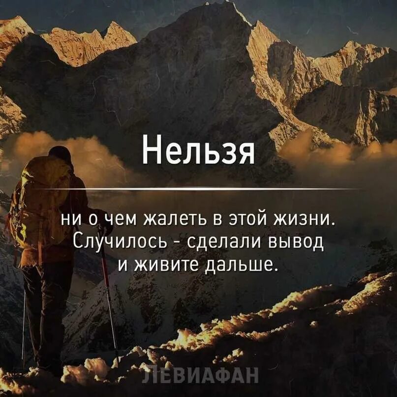 Создается жизнью но сам жизни не создает. Делаю выводы цитаты. Цитаты про выводы. Цитаты о сожалении. Цитата лучше сделать и пожалеть.