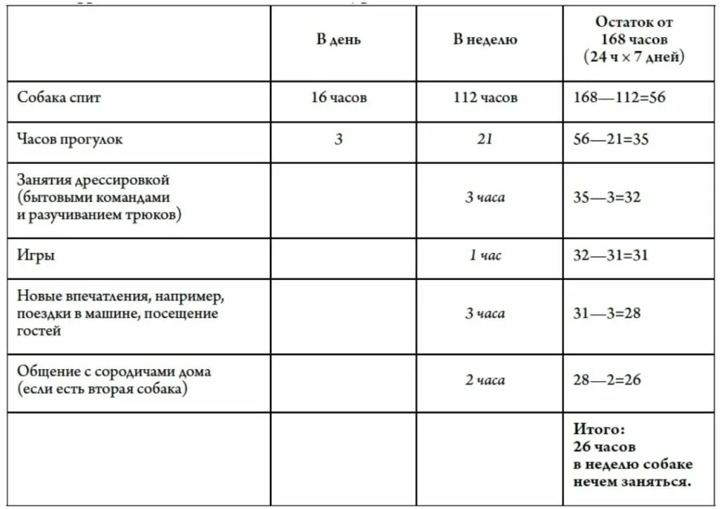 График времени прогулок. Сколько собака должна гулять в сутки. Сколько раз в день нужно гулять с щенком. Сколько нужно гулять с собакой по времени. Сколько времени надо выгуливать собаку.