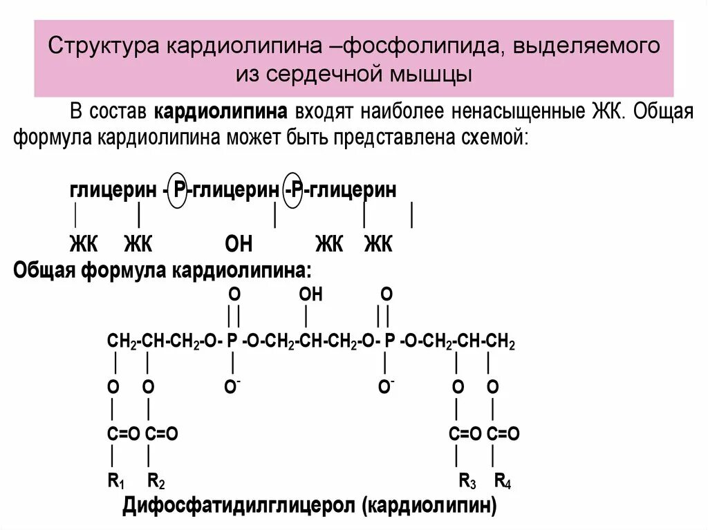 Фосфолипиды строение формула. Кардиолипин структурная формула. Синтез фосфолипидов кардиолипин. Фосфолипиды формула биохимия.