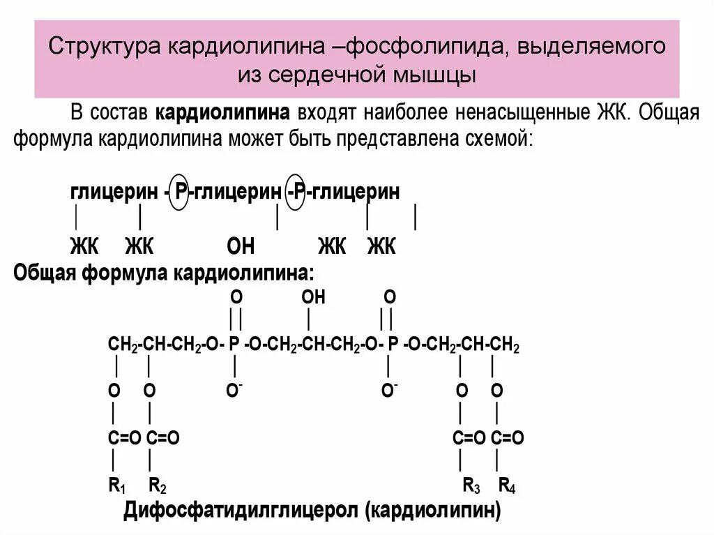 Фосфолипиды строение формула. Кардиолипин структурная формула. Синтез фосфолипидов кардиолипин. Фосфолипиды формула биохимия. Строение фосфолипида