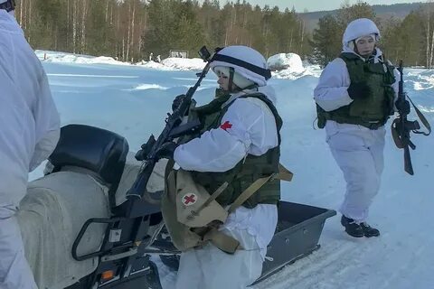 80 мотострелковая арктическая