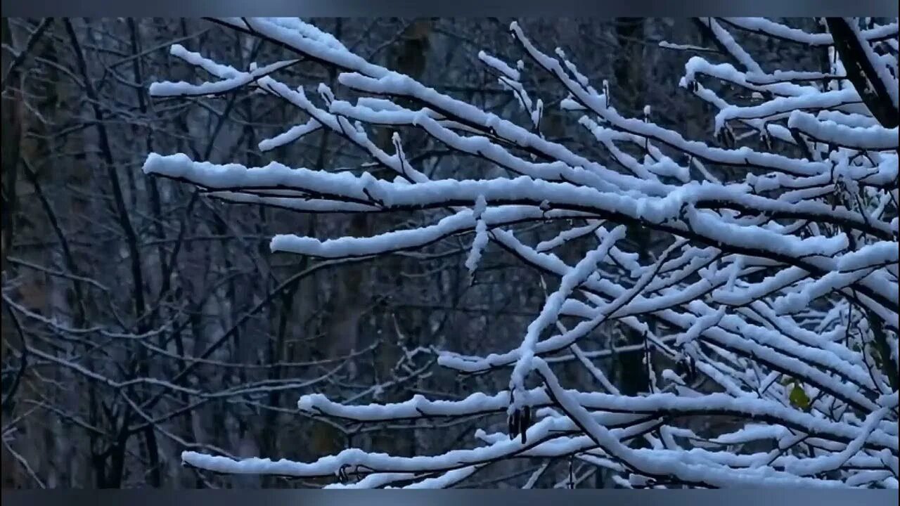 Звук снега. Snow aesthetic gif. Winter aesthetic Word.