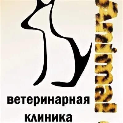 Энимал клиник ростов. Энимал клиник Невского 27. Ветклиника Энималз. Щербакова 25 Пермь ветеринарная клиника.