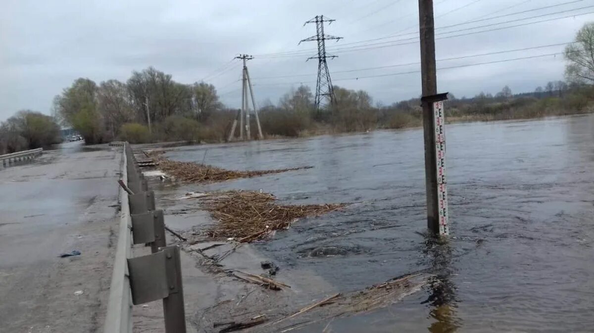 Мост Ступино Рамонский район. Рамонский мост через реку Воронеж. Мост Ступино Воронеж.