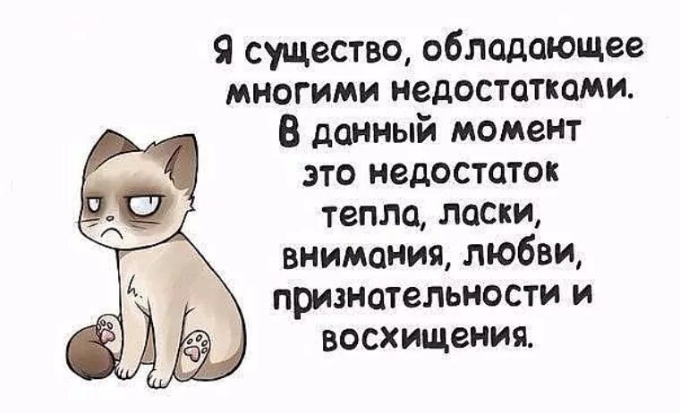 если женщине не хватает внимания от мужчины. спортивные девушки демотиваторы. не хватает мужского внимания. недостаток мужского внимания. если женщине не хватает внимания.