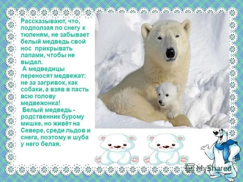 Текст белый медведь 4 класс
