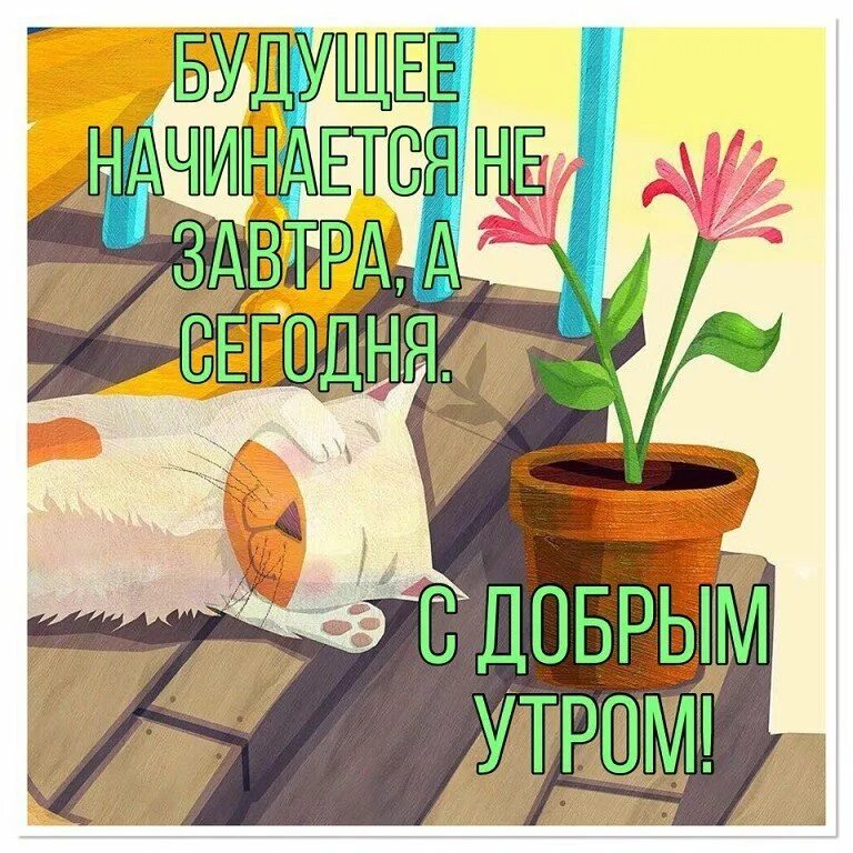 Доброе утро оптимизм. Открытки совет дня. Наступил новый день. Доброе утро совет дня. Доброе утро без войны