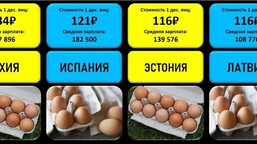 Цены на яйца в странах. Десяток яиц. Стоимость 10 яиц. Стоимость десятка яиц. Сколько стоит десяток яиц.