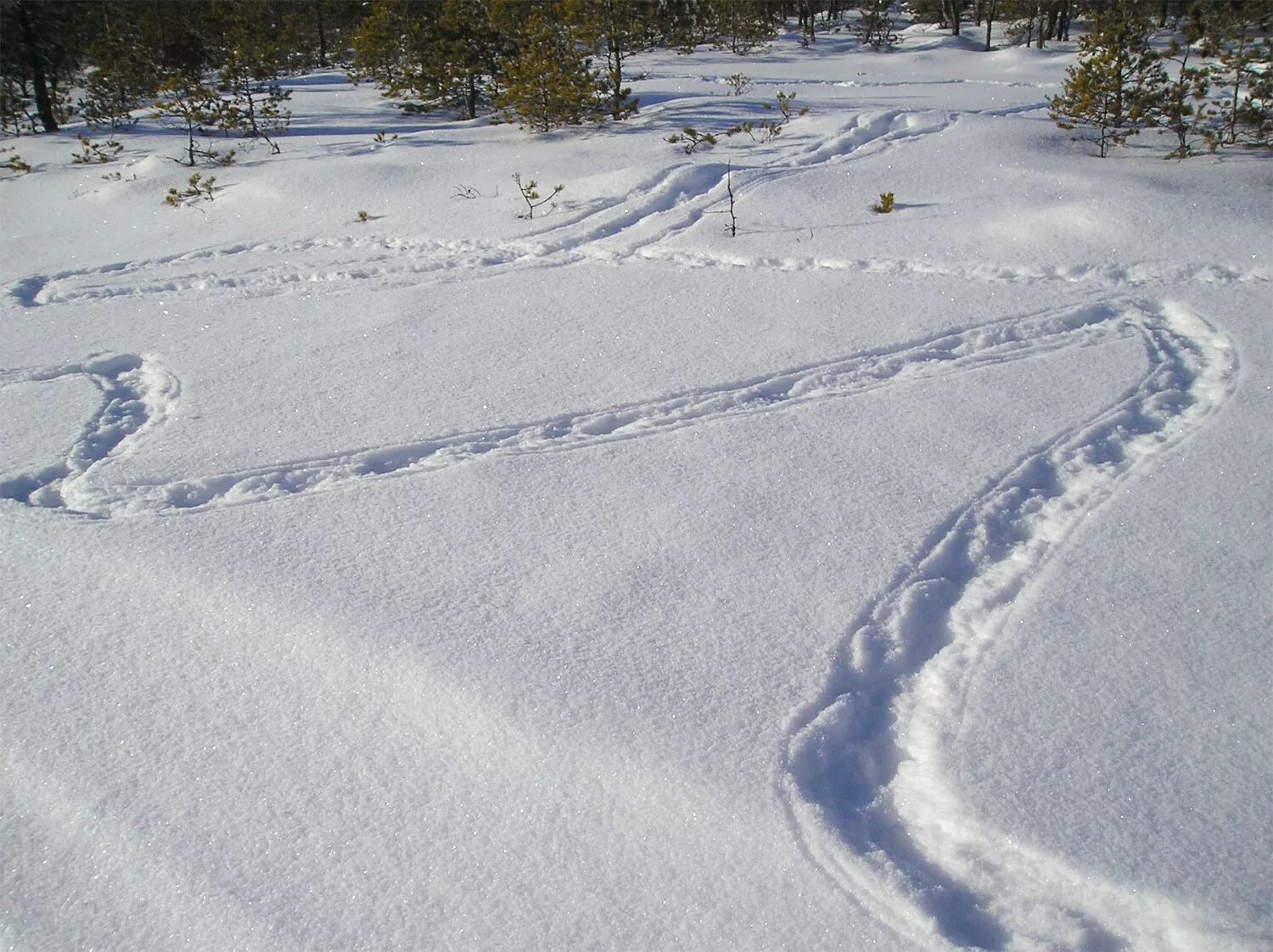 Петляет день. Петляет день. Строчка швейной машинки петляет снизу. Следы зайца на снегу. Швейная машинка петляет снизу и сверху.
