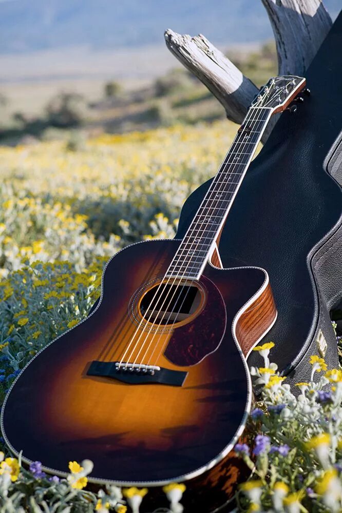 Gitara