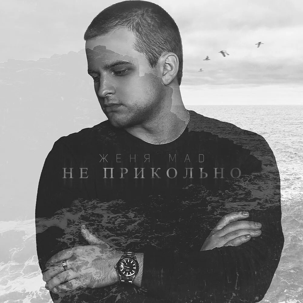 Слушай женю. Света и женя кошельник. Шутки про женю девочку. Женя мад. Смешные шутки про женю.
