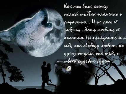 Ты моя луна я вою на луну