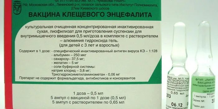 Может ли быть температура от прививки клеща. Прививка против клещевого энцефалита схема вакцинации. Схема постановки вакцины от клещевого энцефалита. Вакцина против клещевого энцефалита Российская схема. Вакцина против клещевого энцефалита схема вакцинации.