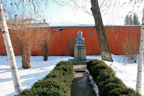 Осипенко таганрог