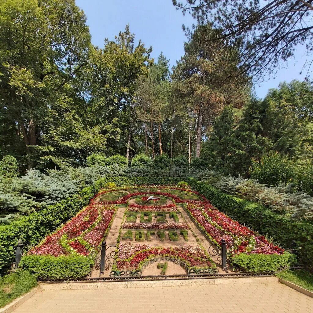 Кафе story кисловодск. Старый парк кисловодск. Парк кисловодск кафе кафе. Старый парк кисловодск. Старый парк кисловодск.