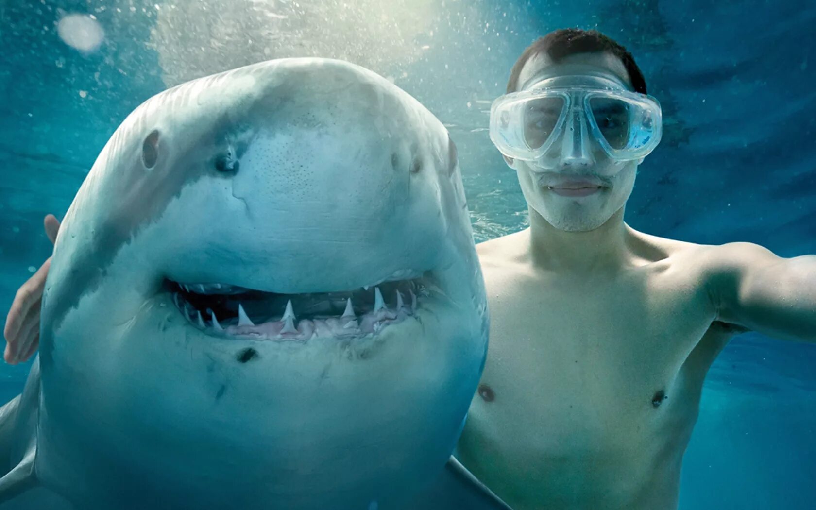 акула мужчина. акула арт. акула мужчина. большая белая акула. русалка акула референс.