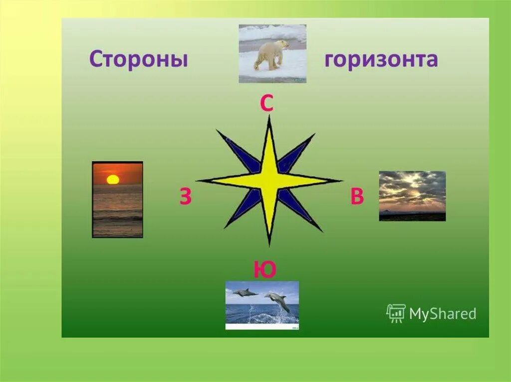 Горизонт стороны горизонта 2 класс. Поделка стороны горизонта. Изготовьте модель стороны горизонта. Окружающий мир стороны горизонта.