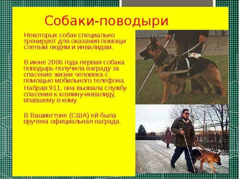 слайд на тему моя будущая профессия врач. 2 класс окружающий мир моя будущая профессия. 2 класс окружающий мир моя будущая профессия. 2 класс окружающий мир моя будущая профессия. презентация на тему доктор.