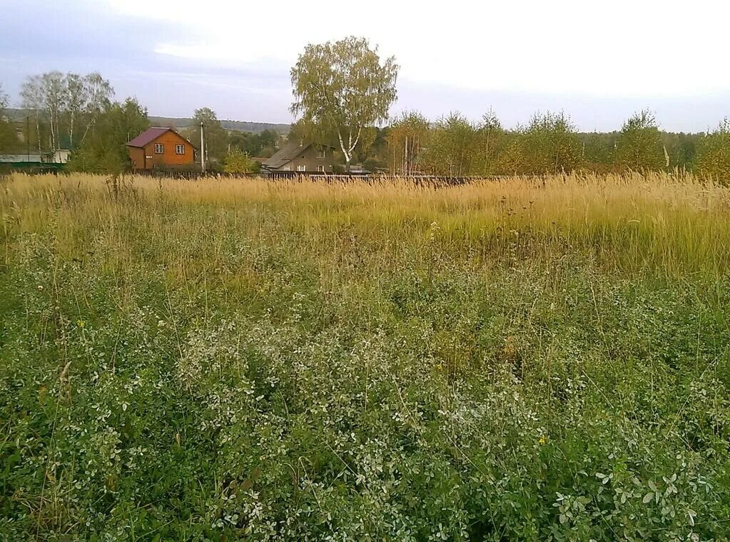 Стоимость сотки земли в московской области. Алфёрово Чеховский район. Игумново (Чеховский район). Деревня Алферово Чеховский район. Чехов Алферово.