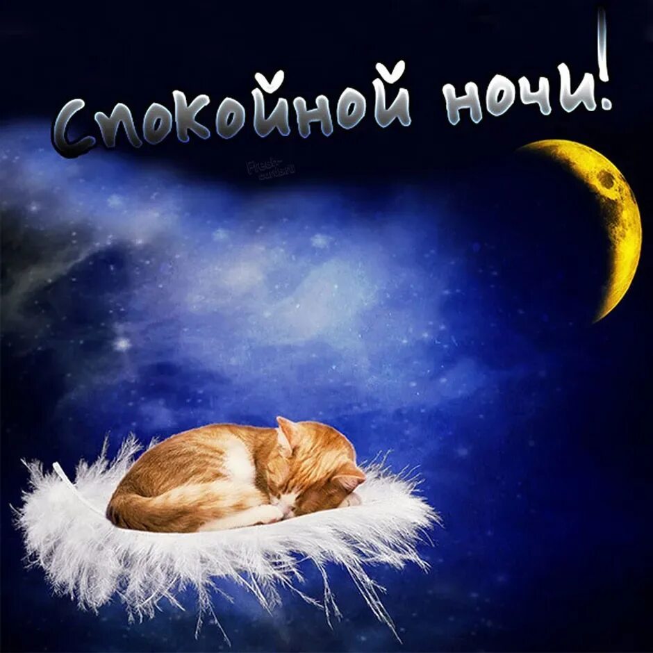 Какой добрых снов. Спокойной ночи сладких снов. доброй ночи сладких снов. открытки спокойной ночи сладких снов. сладкой ночи.